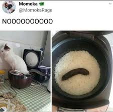 Poop Fried Rice 9gag