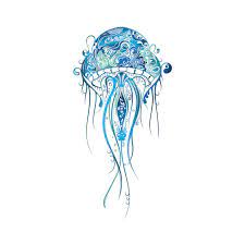 Pin On Images For My Projects Animals And Nature