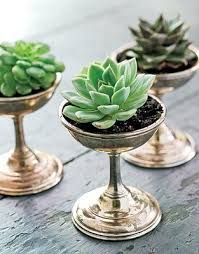Inspired By Charm Succulents Succulent Centerpieces Creative Gardening