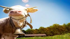 Die alm öffnet samstag/sonntag (außer bei mistwetter)! Die Alm Is Back Prosieben Invites Celebrities To Take A Holiday On The Farm Red Arrow Studios