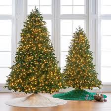 I think that outside christmas decorations really just brighten up your yard and welcome your guests. Noble Fir Full Profile Tree Frontgate