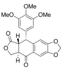 Image result for Podophyllotoxin
