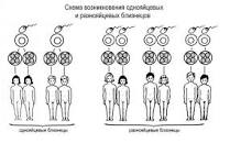 Resultado de imagen para "la bisexualidad" conclusiones "nuevo estudio" "the lancet" "New England Journal of Medicine"