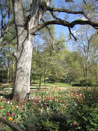 Things To Do In Fair Oaks Visit Jensen Botanical Garden Small Backyard Landscaping Backyard Landscaping Designs Botanical Gardens