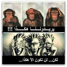 ارى و اسمع و اتكلم funny jokes funny quotes arabic quotes