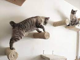 Wall Shelves For Cats To Climb On Cat Wall Furniture Cat Tree House Pet Furniture