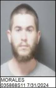 DAVID SETH MORALES (recidivist)** **LAST KNOWN ADDRESS: 1208 S FULTON ST  SALISBURY, NC 28144** **Offense/Statute: SEX EXPLOIT MINOR 2ND DEGREE & SEX  EXPLOIT MINOR 3RD DEGREE 18cts** **Offense Date: 04-23-2018 & 03-01-2022**  **