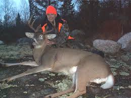 Canada Deer Hunting