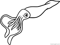 Free printable squid coloring pages available in high quality image and pdf format. Easy Squid Coloring Page Coloringall