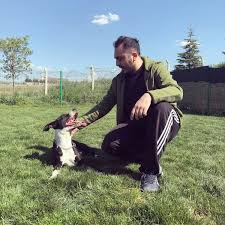 Ankara Canine College Kopek Egitim Ve Rehabilitasyon Merkezi Artik Kapali Golbasi 449 Ziyaretcidan 6 Tavsiye