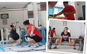 Hasil gambar untuk padepokan gajah lampung