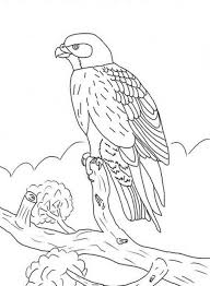 We did not find results for: Kids Falcon Bird Coloring Pages Bird Coloring Pages Super Coloring Pages Animal Coloring Pages Coloring Home
