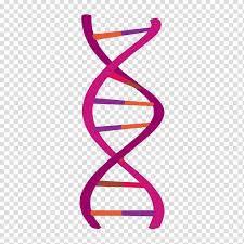 It's as easy as that.great for removing background in portrait or product photos. Science Technology Cell Dna Genetics Science Transparent Background Png Clipart Hiclipart