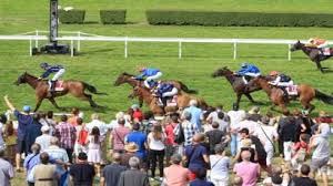 57 likes · 4 talking about this · 2 were here. 8 14 17 Clairefontaine Prix Carrefour Market Tourgeville Prix De La Fontaine Marie Results And Reports