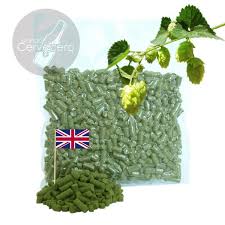 Sustantivo de género exclusivamente masculino, que lleva los artículos el o un en singular, y los o unos en plural. Lupulo Fuggles Mundo Cervecero