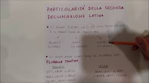 Lezione 10 Le Particolarita Della Seconda Declinazione Youtube