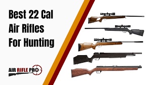 Can a bb or a pellet gun kill you? Best 22 Air Rifle For Hunting Our Reviews Air Rifle Pro