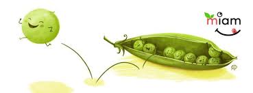 Fruits Legumes Pauline Amelin Alimentation Fruits Et Legumes Legumes De Saison