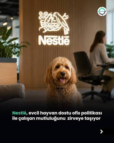 Evcil Dostlarımızla Birlikte Büyüyen Bir Pazar: Pati Ekonomisi Yükselişte!