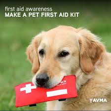 We develop a community of animal hospitals and pet resorts that share knowledge to achieve sustainable growth. The Pet Doctor The Petdoctor Twitter