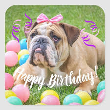 Wish someone with these beautiful flowers. Cute Bulldog Happy Birthday Square Sticker Zazzle Com Bulldog Happy Birthday Happy Birthday Fun Happy Birthday