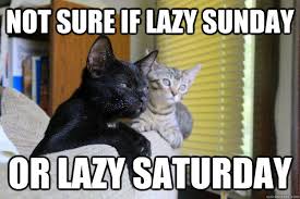 Image result for saturday cat meme