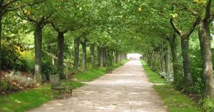 Jardins De Valloires Picardie France Psychic Reading Online Psychic Reading Psychic Readings