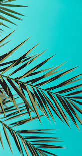 Pin On Lively Color Mood Board