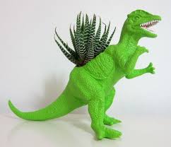 10 Things I Love Crafty Cute Edition A Beautiful Mess Chia Pet Luxury Flowers Succulents