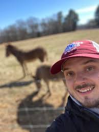 Junk removal with a heart: meeting animals along the way