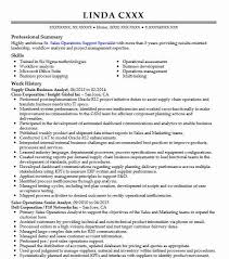 Creative individual with excellent workflow documentation. Supply Chain Analyst Resume Example Company Name Houston Texas