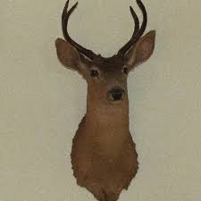 Mike Orth (@bigmouthtanglef)