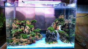 Aquascape Tema Alam