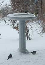 Maybe you would like to learn more about one of these? Birdbaths By Diane Porter