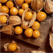 Image result for Physalis peruviana