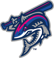 Pin By Keith Lourenco On Sports Sports Logo Design Sports Logo Inspiration Baseball Teams Logo
