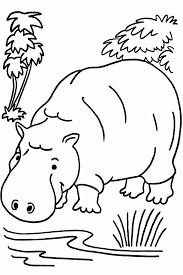 Your child needs to learn the names of different animals and recognize them. Jungle Animal Pictures To Print Coloring Home