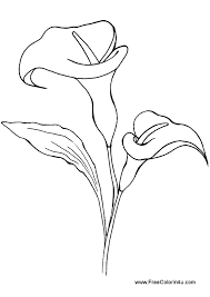 Calla Lily Free Printable Coloring Book Page Calla Lily Picture Print As Portrait Lilies Drawing Flower Line Drawings Flower Drawing