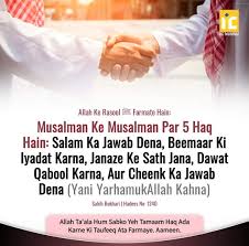 Ucapan tegur sapa (greeting in english daily). Xowgvphlxdlqqm