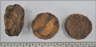 Uncaria gambir, a tropical shrub. Gambir Gambir Sarawak And Toad Venom Lim 2017 Drug Testing And Analysis Wiley Online Library