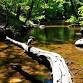 Big Spring Creek - Guided Walk