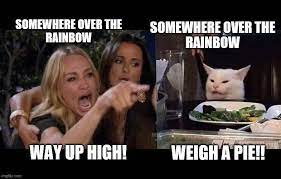 Funniest Cat Meme Woman Yelling Meme Collection Of Cat Woman Yelling At Cat Yelling At Cat Cat And Woman Meme