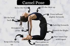 Camel also works on an energetic level to open up the heart, encouraging us to release pent up emotions. Camel Pose Ustrasana How To Do Benefits Precautions Fitsri