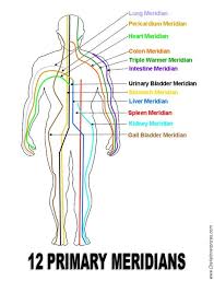 12 Pimary Meridians Akupresur Refleksiologi Terapi