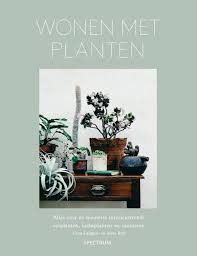 Wonen Met Planten Tillandsia S Planten Tropische Planten