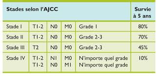 Bien que les taux de survie chez l'enfant soient bons, ils sont d'autres sont atteints de cancers « adultes » comme les cancers du colon, du poumon, du sein et de l'estomac. Cancers De L Adulte Jeune