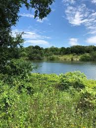 Maybe you would like to learn more about one of these? Best Wild Flowers Trails In Georgetown Texas Alltrails