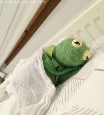 Pin On Kermit The Frog Memes