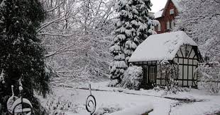 Alter Botanischer Garten Kiel Botanischer Garten Garten Kiel