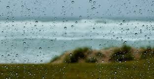 Downloading torrents is getting riskier every day. What To Do When It S Raining On The Gold Coast In 2021 Destination Gold Coast Blog